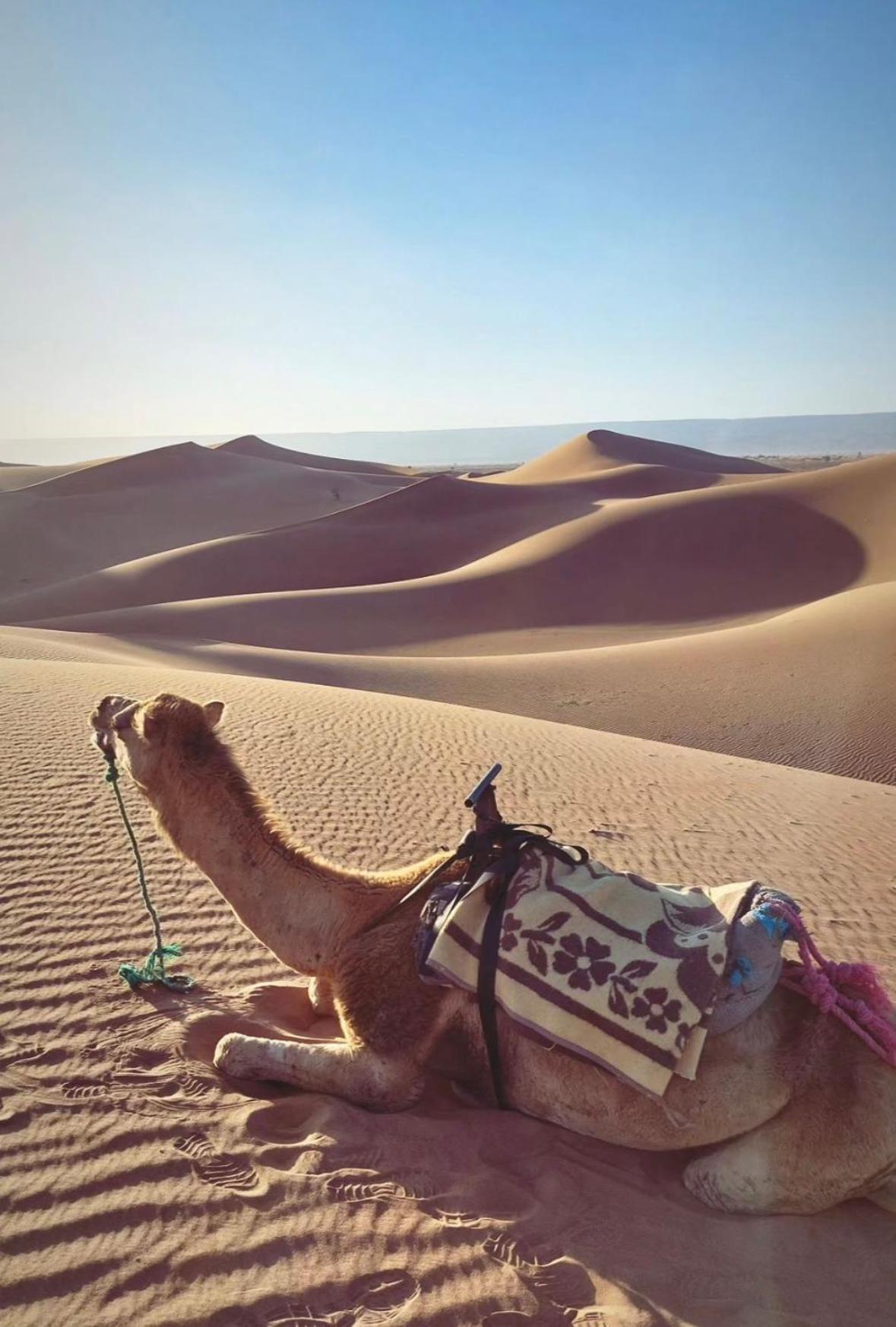 Desert Chegaga Luxury Camp El Gouera Zewnętrze zdjęcie